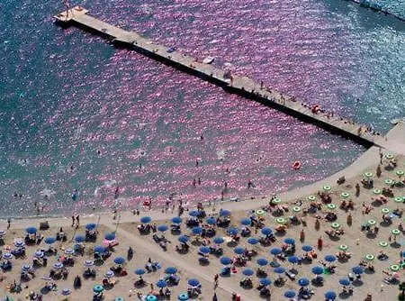 Amazing View شقة *